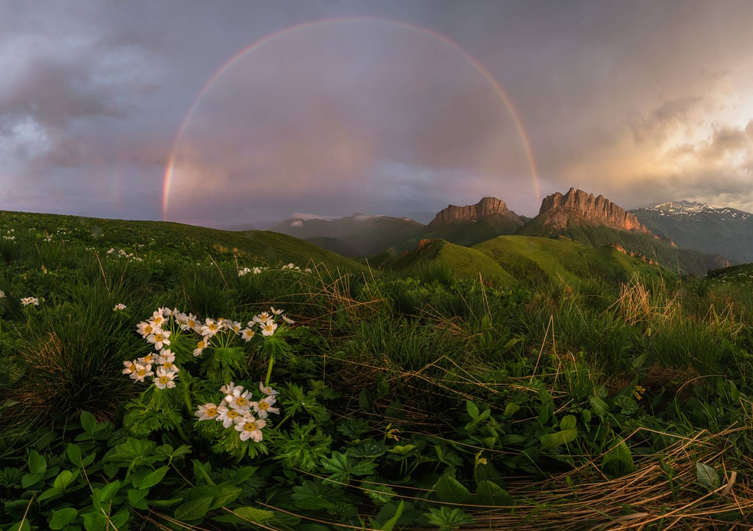 западный кавказ, природный парк большой тхач, Мысливцев Николай