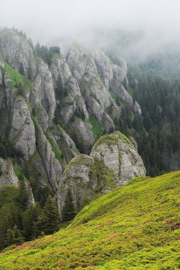 , Stefan Chirobocea