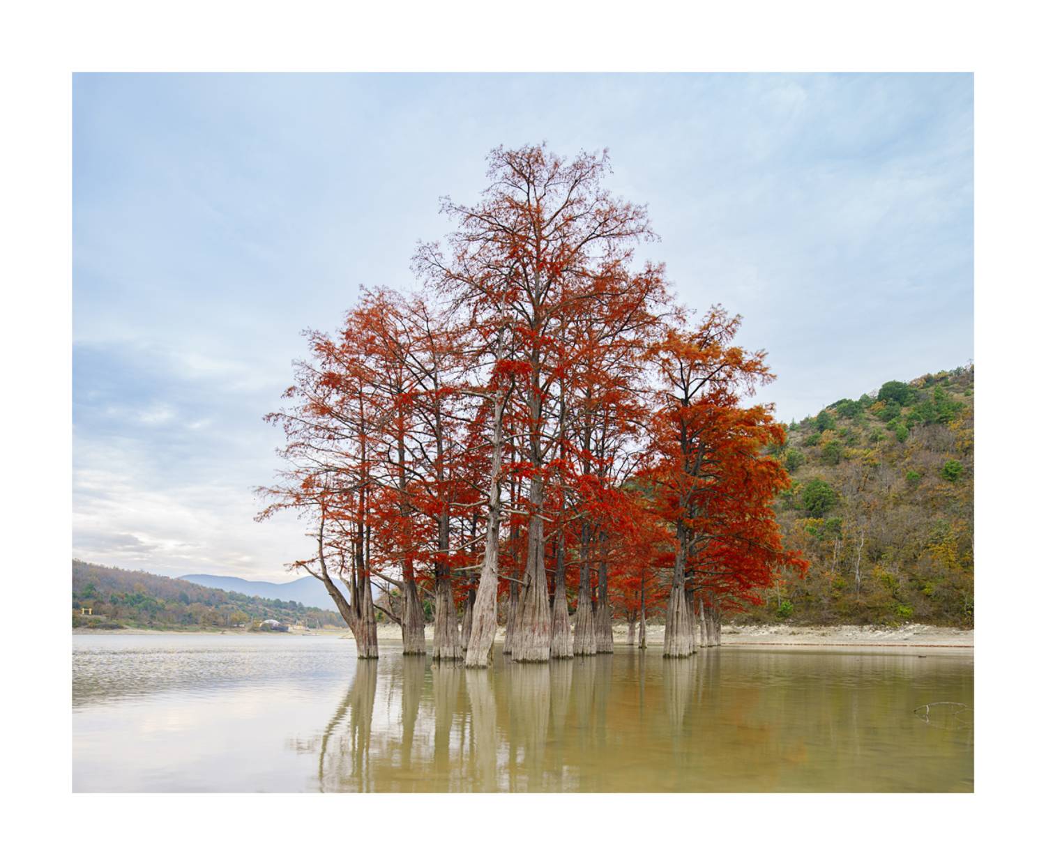 , Станислав