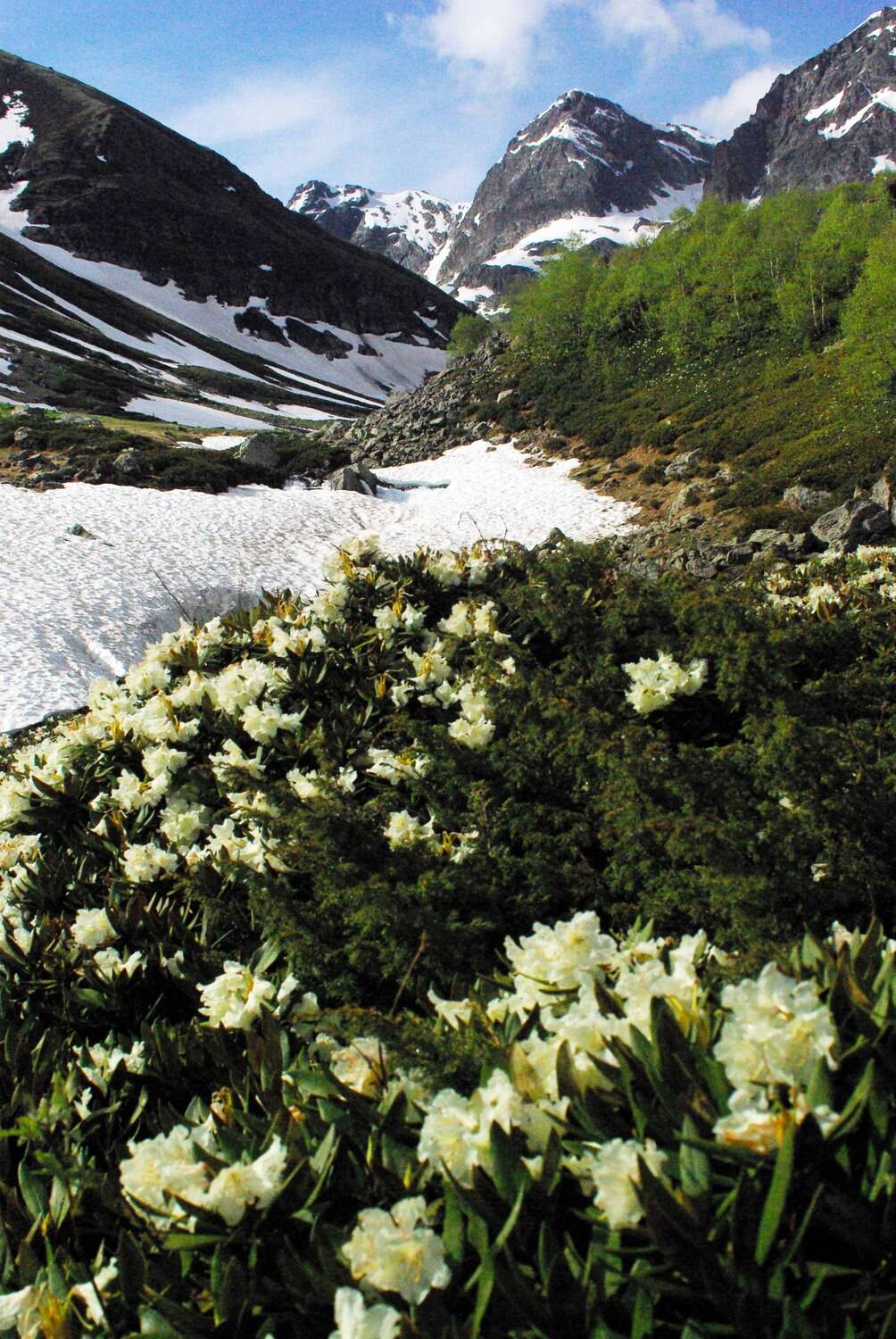 архыз, Андрей Любимов