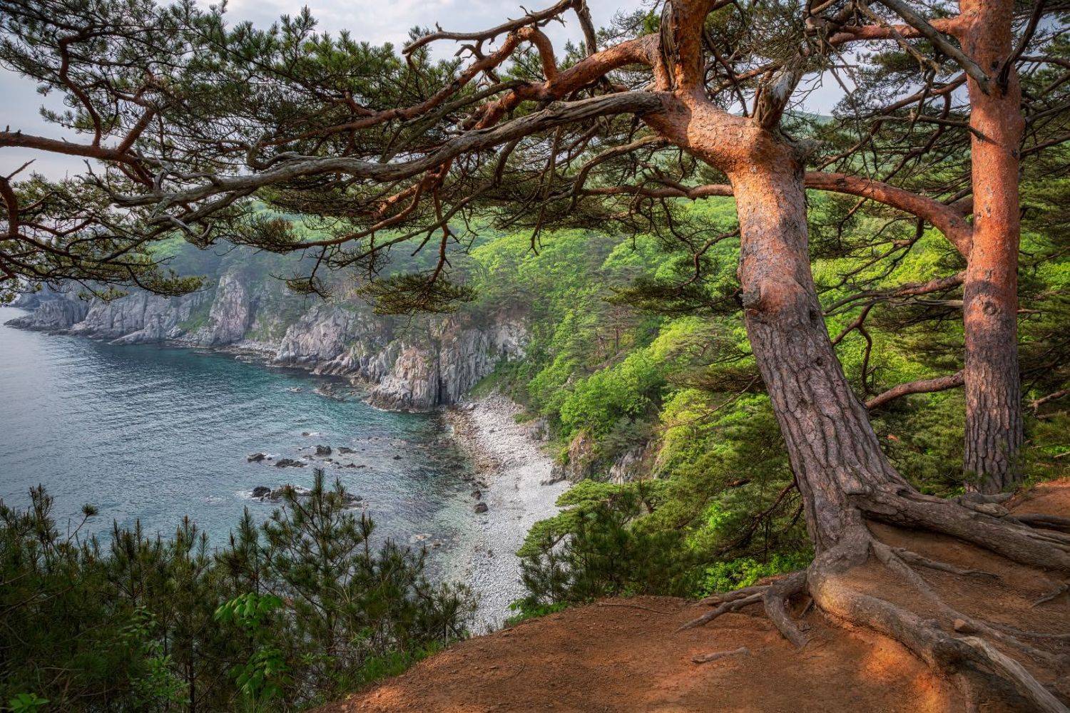 , Евгений Ерохин