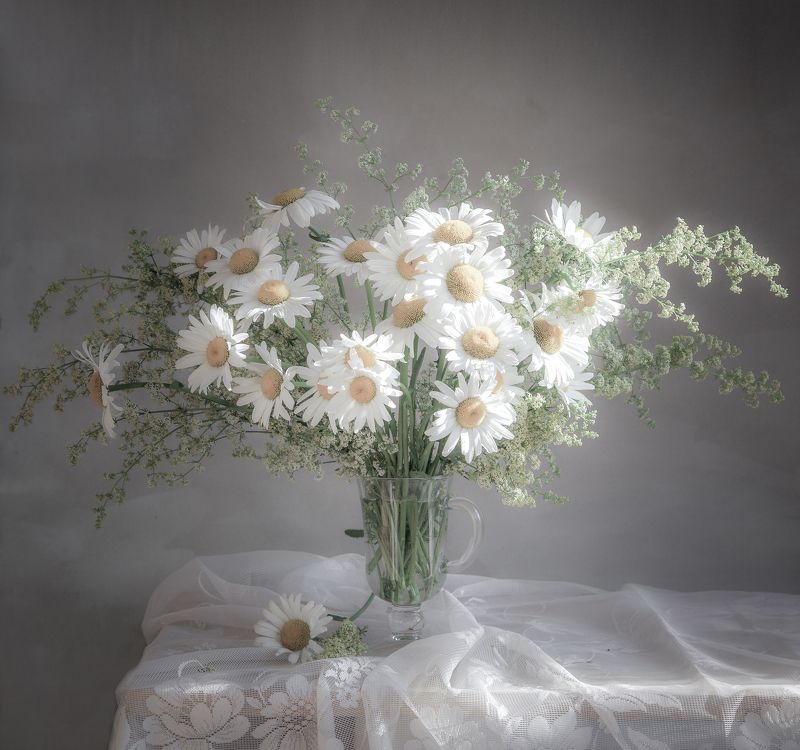 Скромные ромашки фото превью