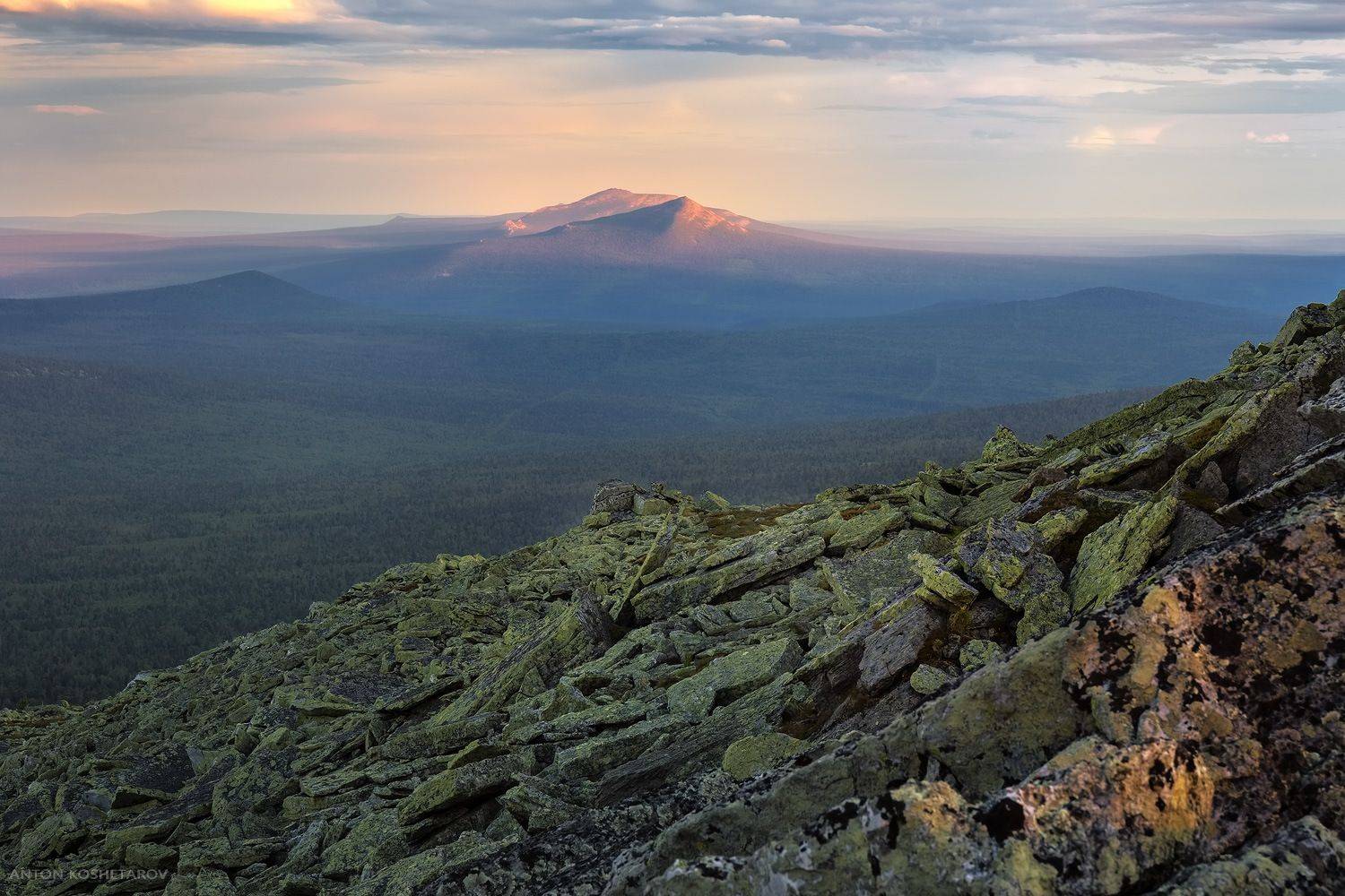 , Антон Кошетаров