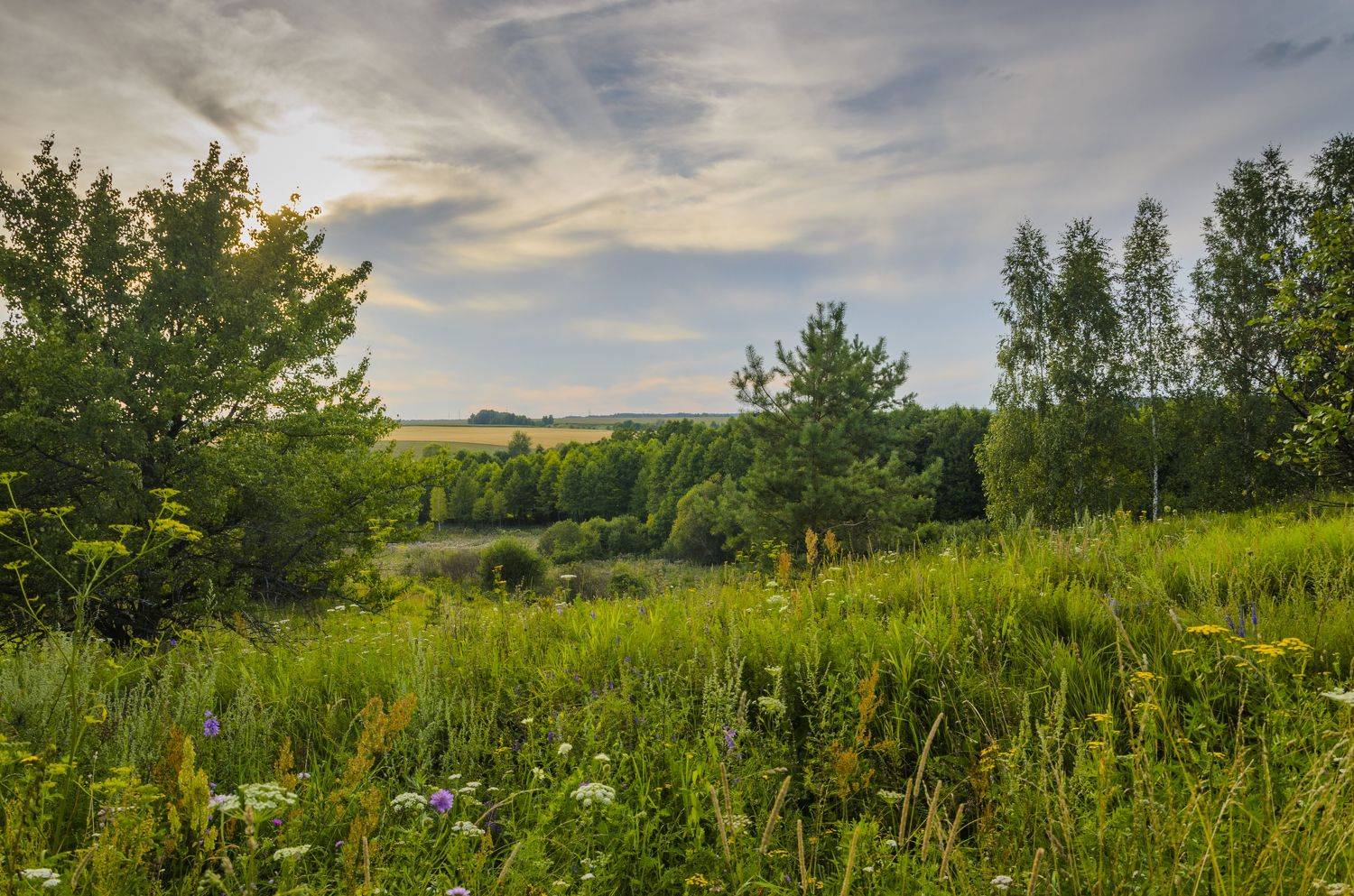 nevant60, пейзаж, красота, природа, Александр Березуцкий