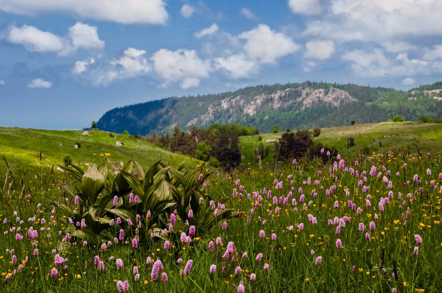 плато, природа, пейзаж, лагонаки, адыгея,  Мариночка