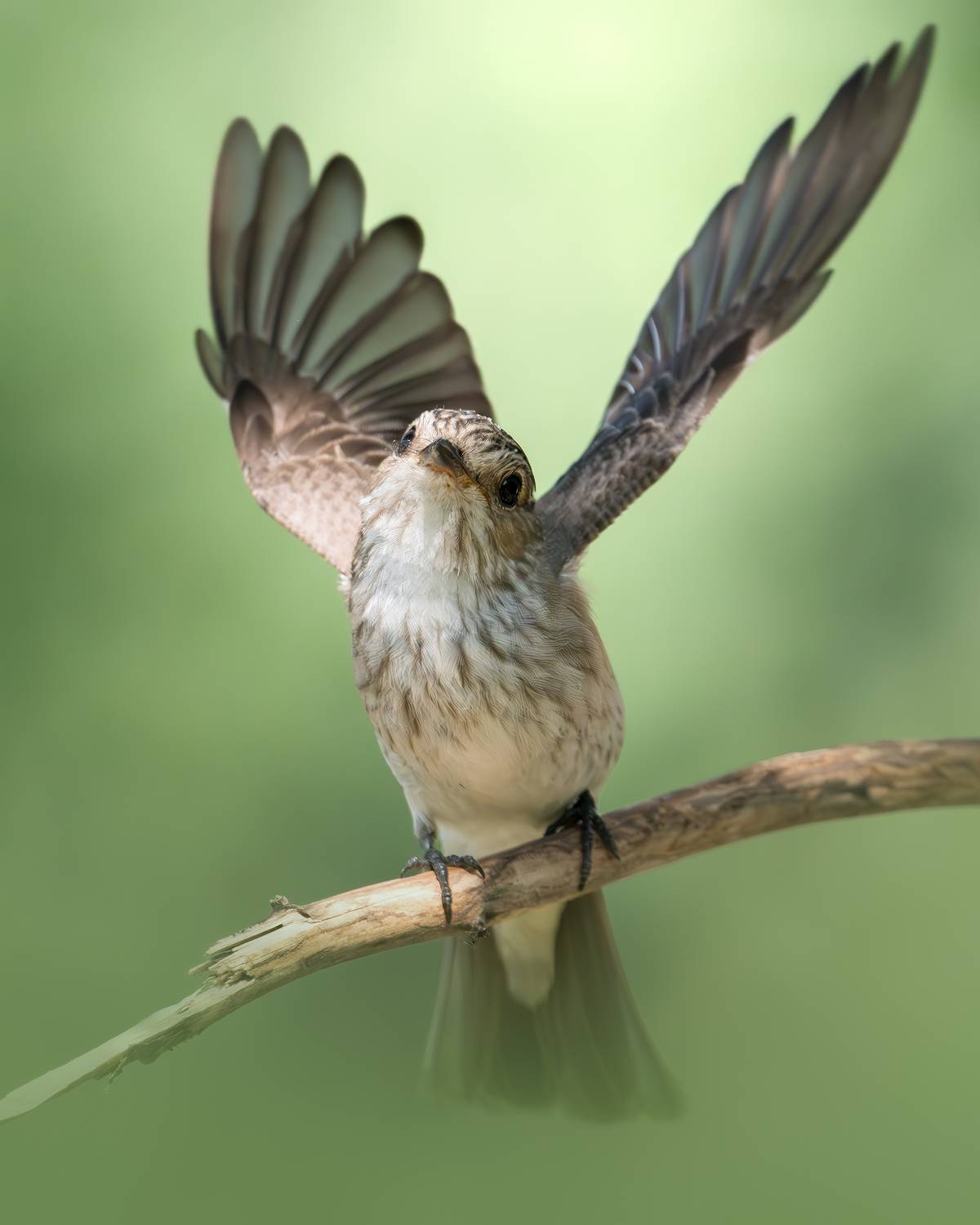 , Поляков Михаил