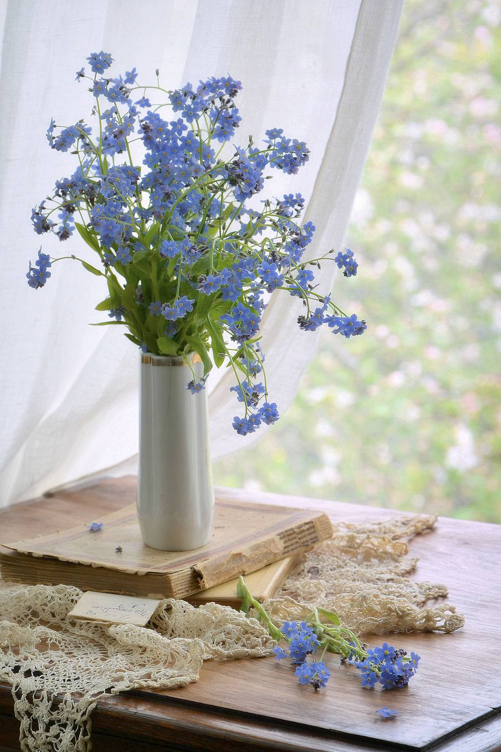 сергей алексеев, натюрморт, Сергей Алексеев