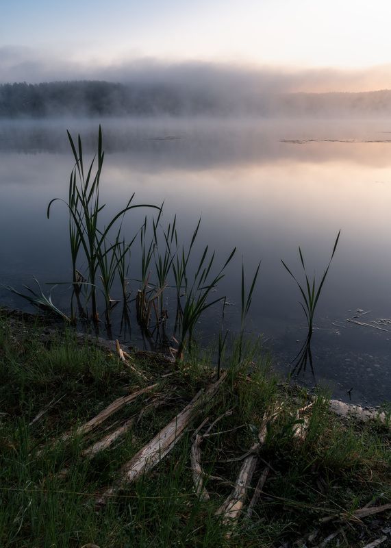 Утренние зарисовки…  Morning sketches... фото превью