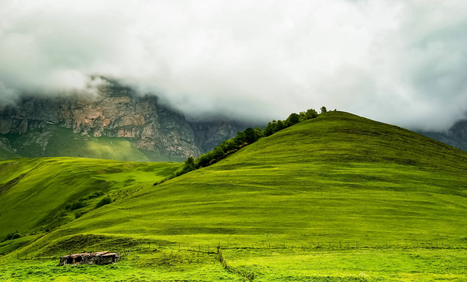 , Tatiana Meshcheryakova