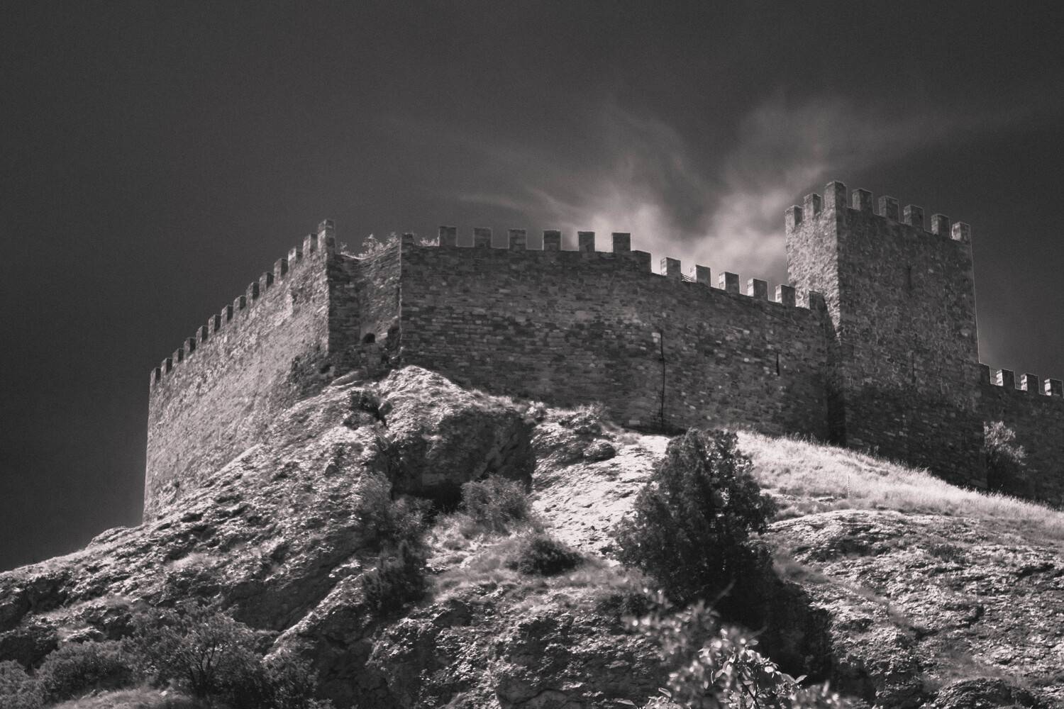 , Алексей Ильин