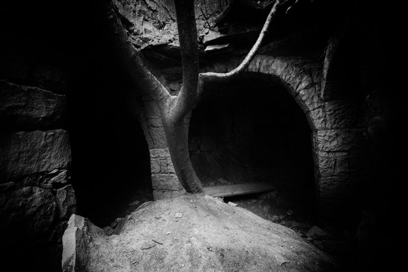 Любовь к жизни фото превью