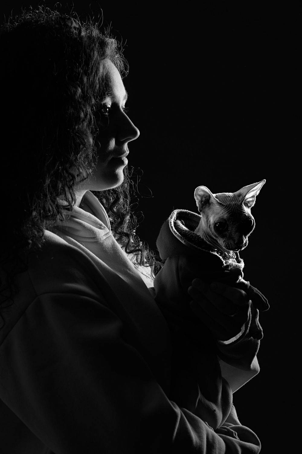 женский портрет, портрет, студийный портрет, кот, сфинкс, черно-белое, Булычев Анатолий