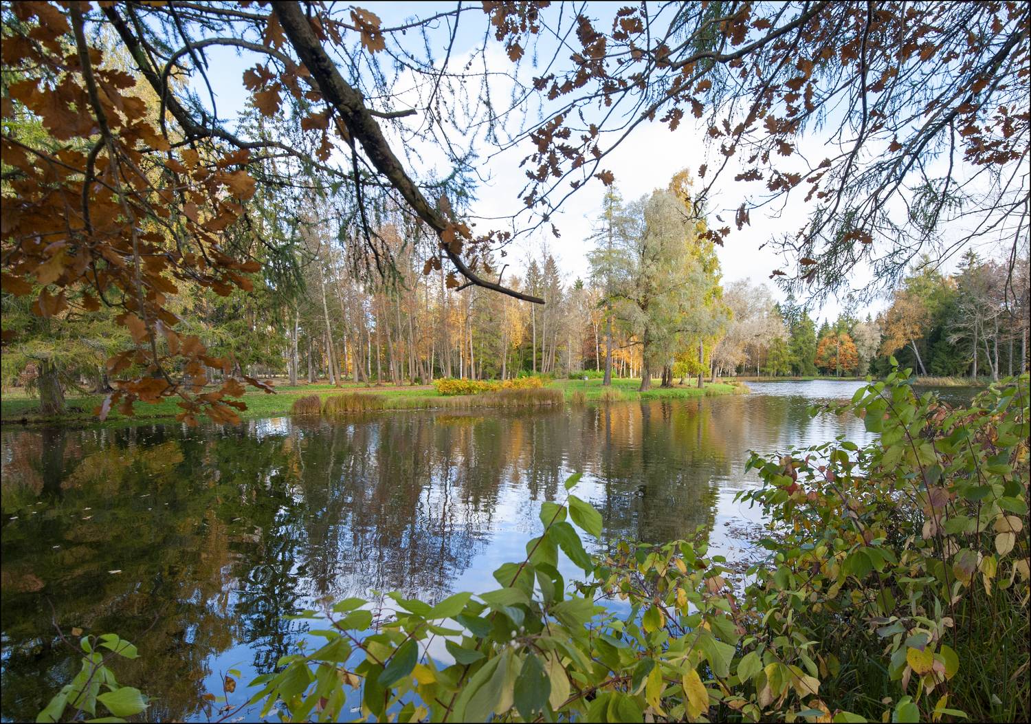 , Георгий Сапожников