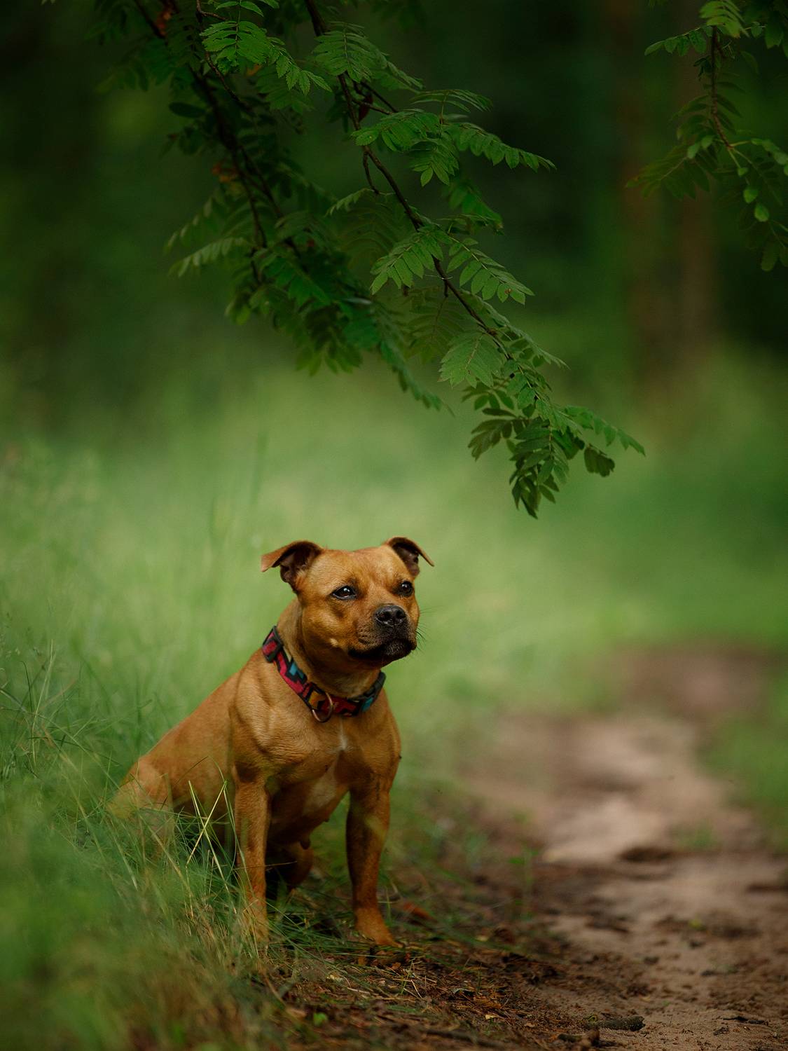 , Мария Шерскова