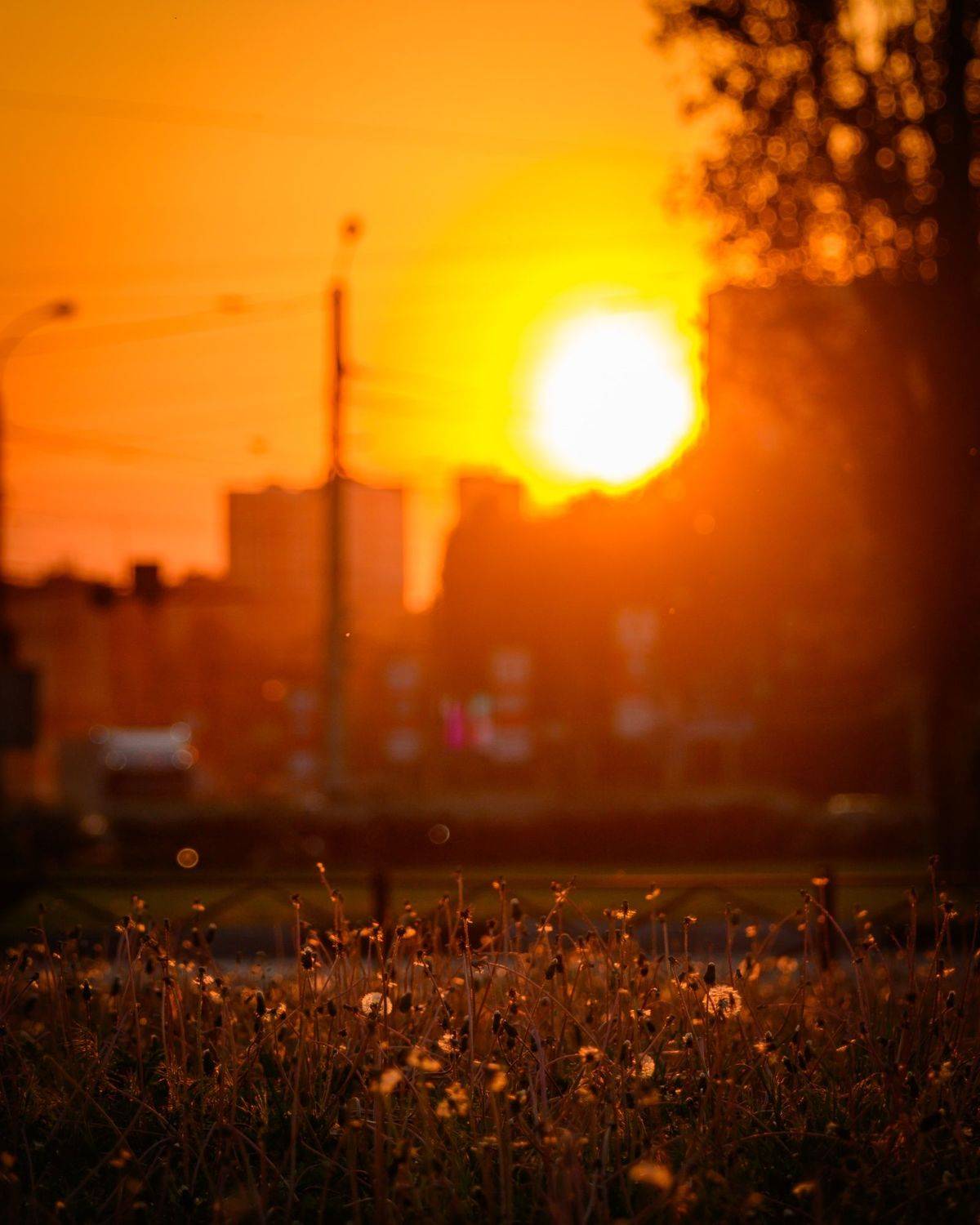 , Караваев Антон