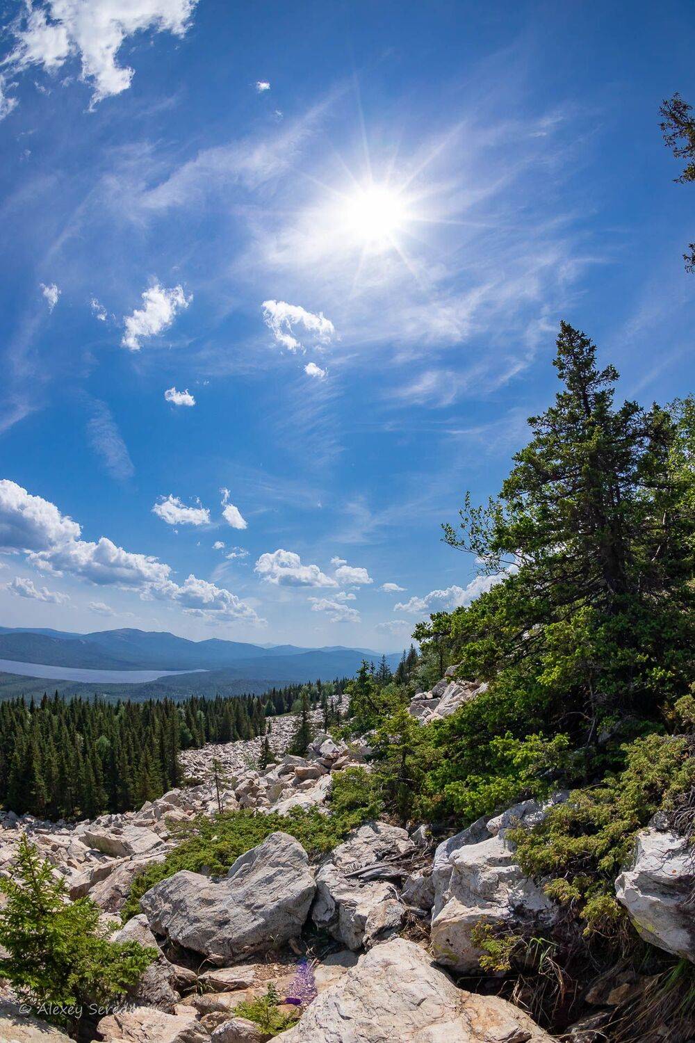 , Алексей Середенин
