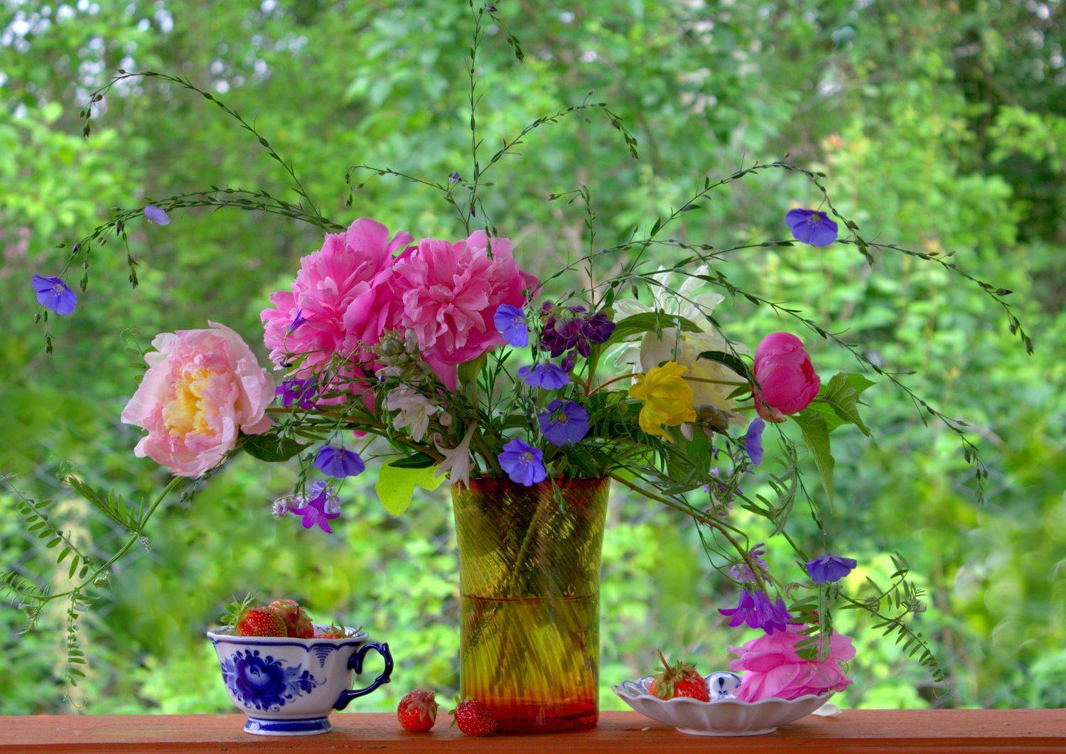 , Хохлова Наталья