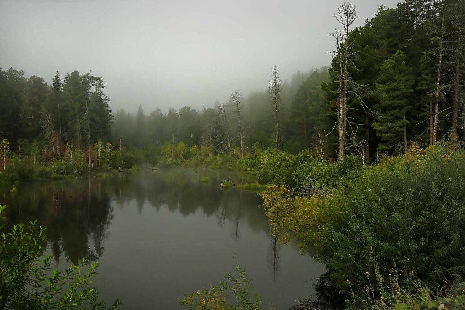 , Хахлов Алексей