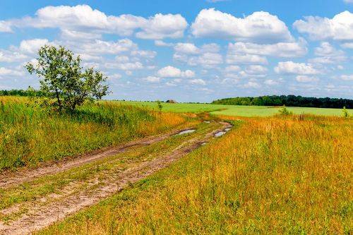 Эти летние фрагменты