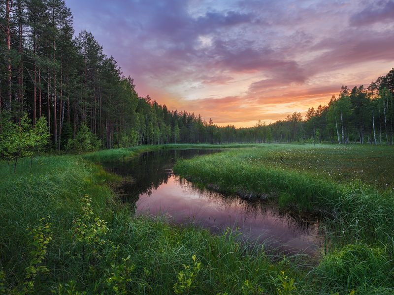 Карельское болото фото превью