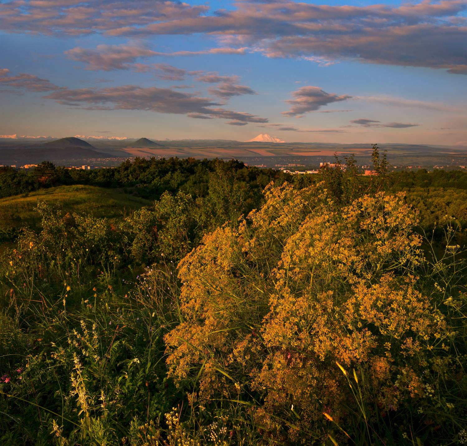 пейзаж, утро, кмв, природа, Елена Брежицкая