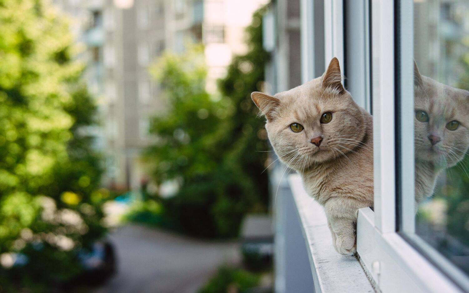 , Вертиков Юрий