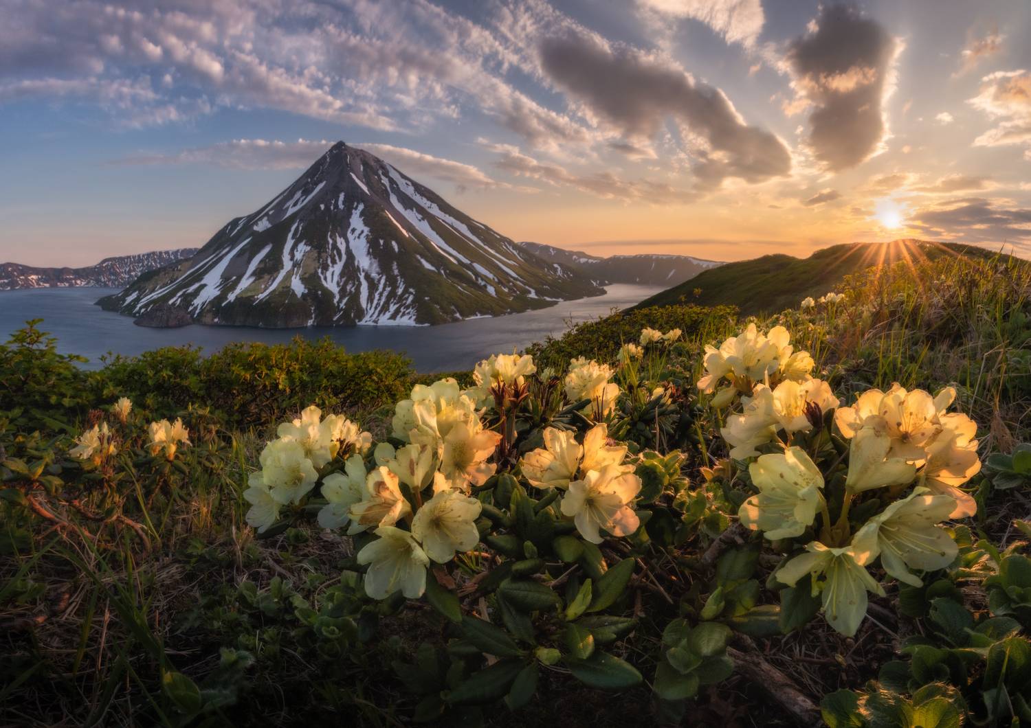 курилы, Андрей Грачев