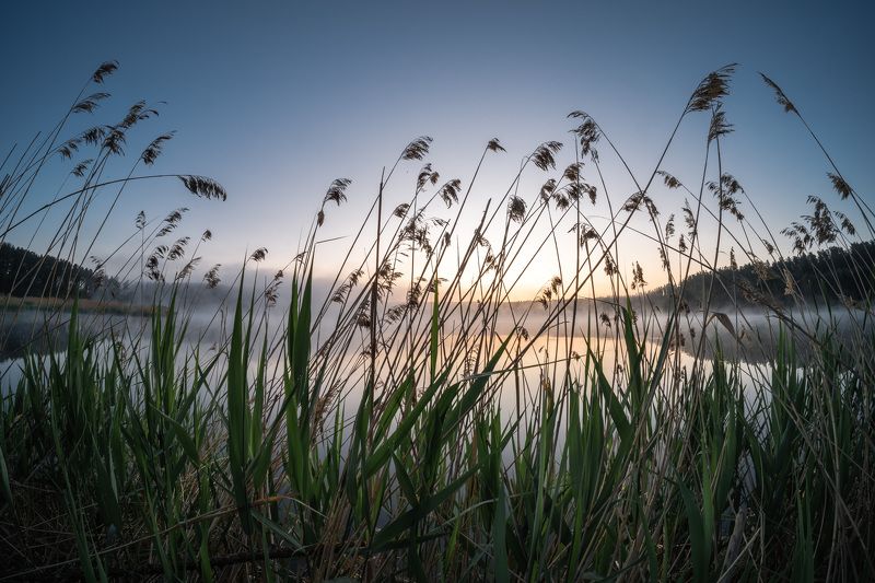 Утренние зарисовки… Morning sketches… фото превью