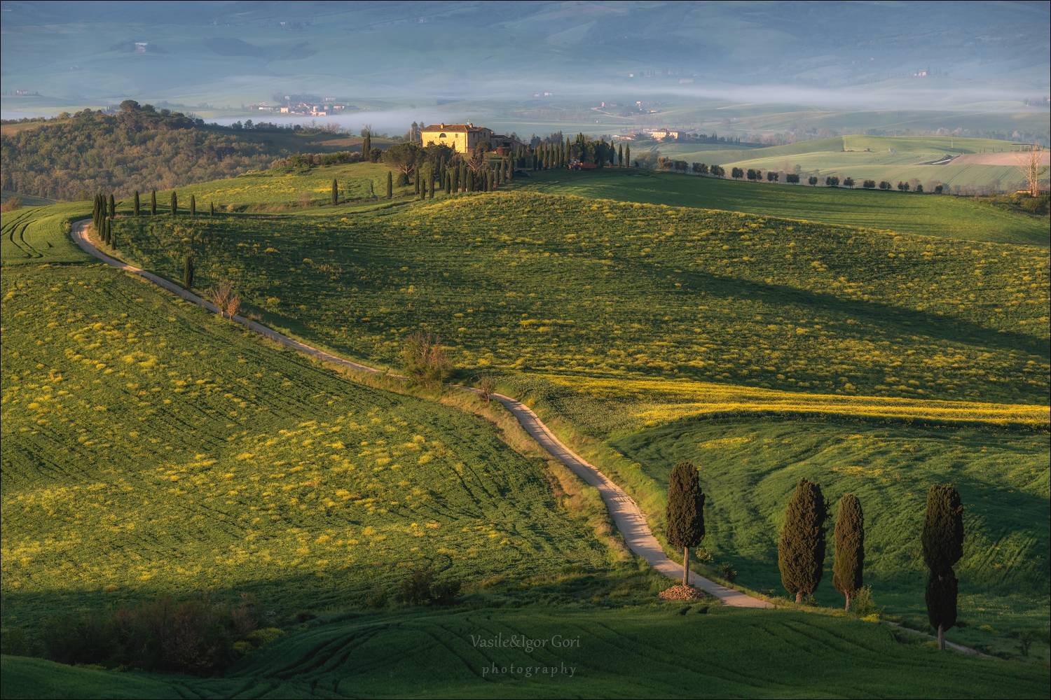 italy,san quirico d\\\'orcia,italia,тоскана,pienza,кипарисы,toscana,весна,tuscany,cipressi,belvedere,пьенца,дорога гладиатора, Гори Василий