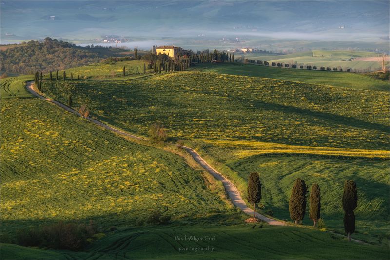 italy,san quirico d\\\\\\\'orcia,italia,тоскана,pienza,кипарисы,toscana,весна,tuscany,cipressi,belvedere,пьенца,дорога гладиатора Вдаль ведет меня дорога. фото превью