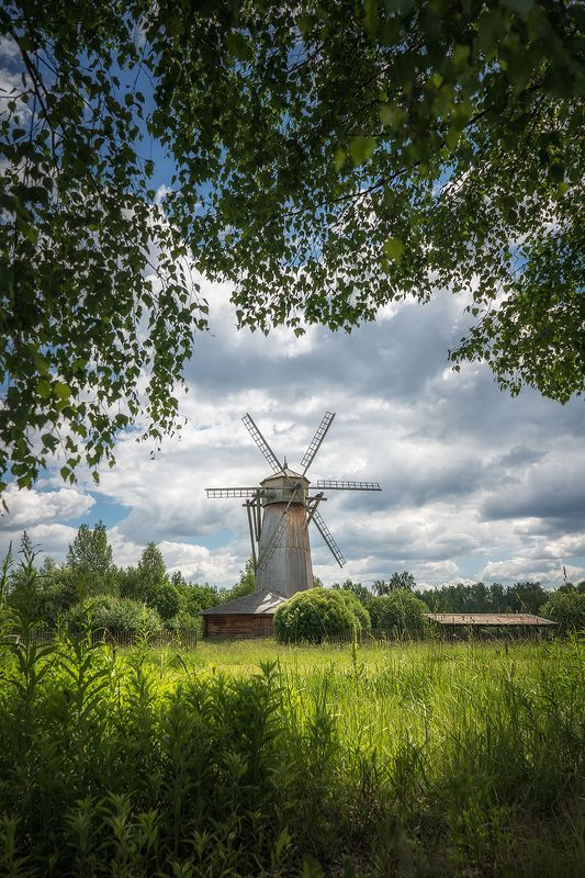 мельница, лето, пейзаж Старая мельница фото превью