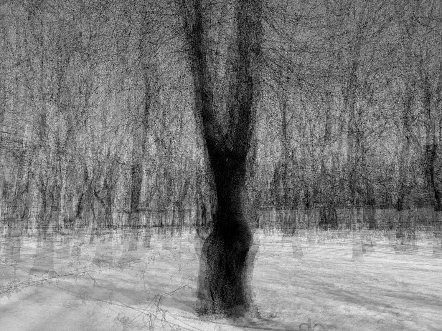 , Антон Лаба