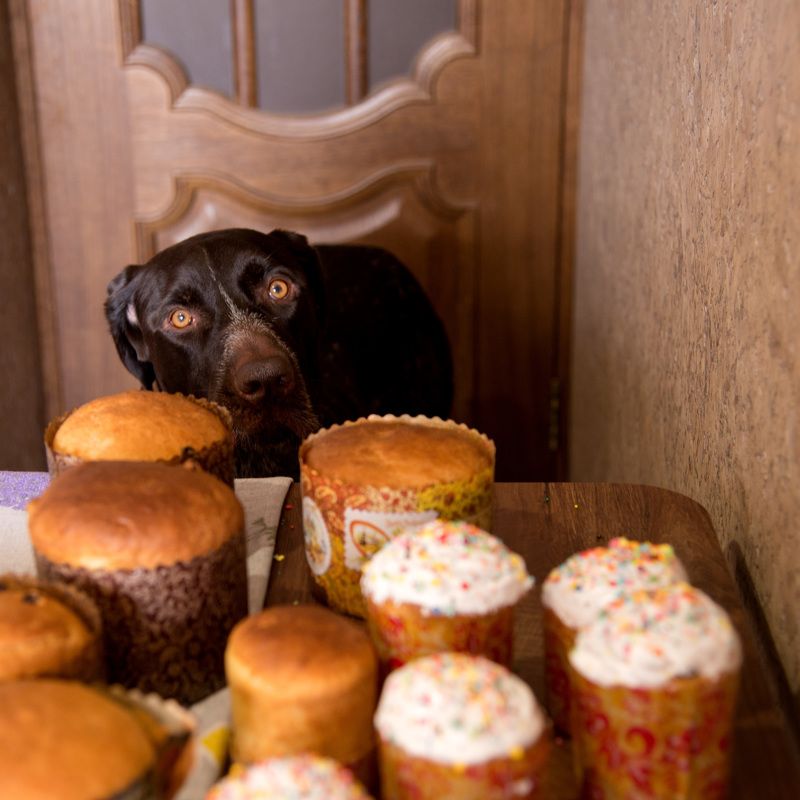 ПАСХА фото превью