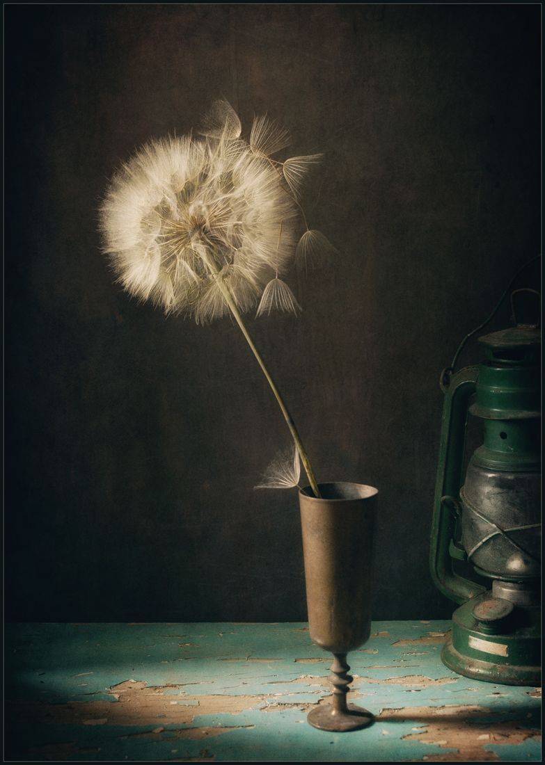 , Хромеев Александр