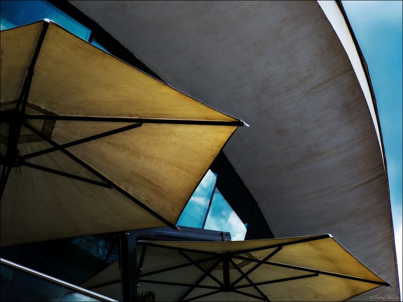 москва, зарядье *** фото превью