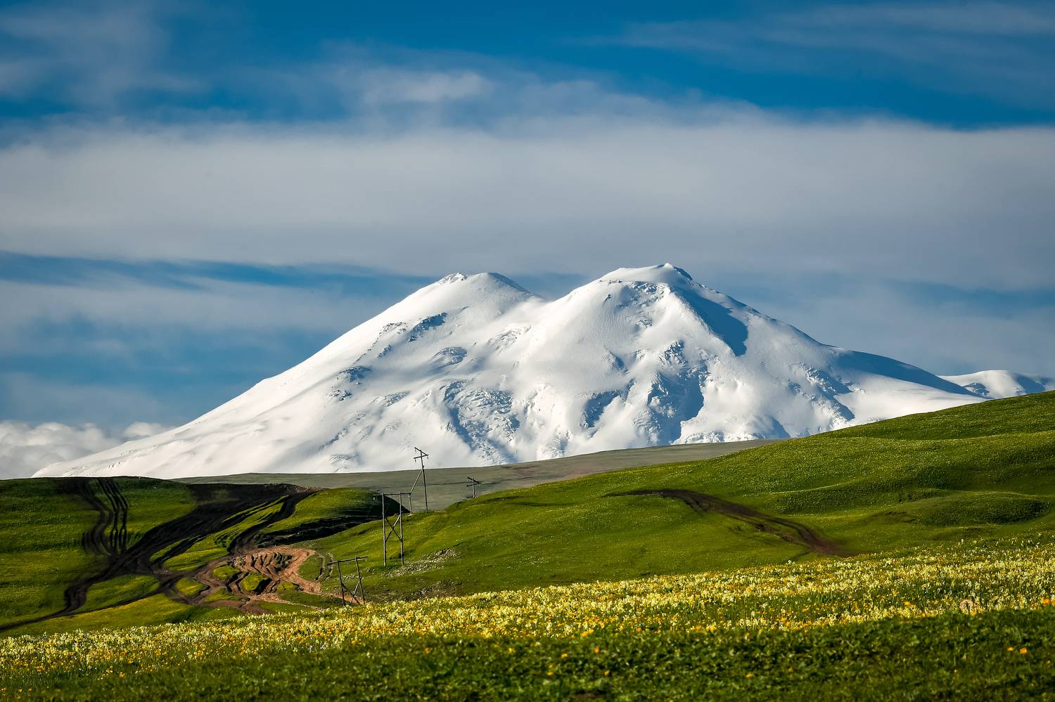 , Tatiana Meshcheryakova