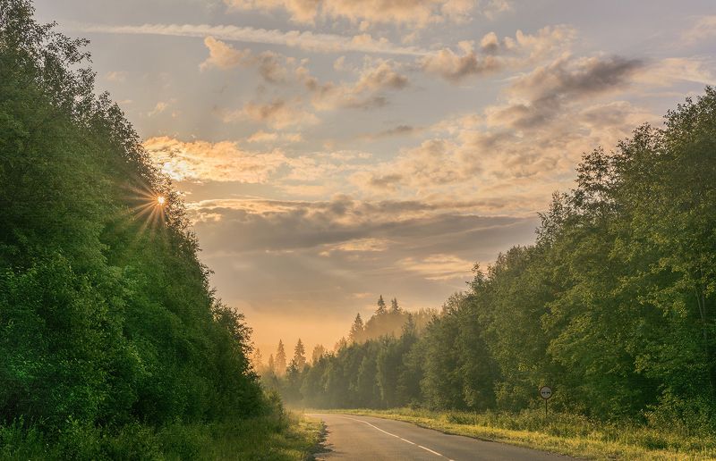утренний свет фото превью