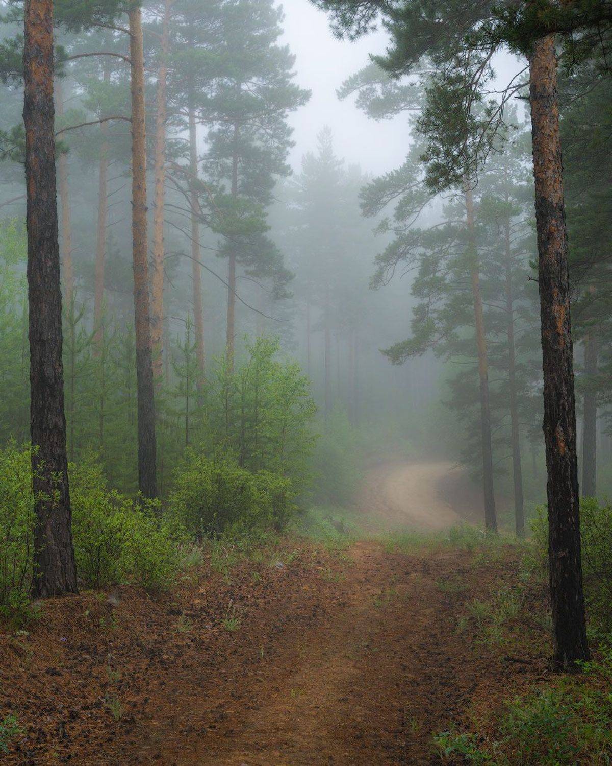 , Сергей Брагин