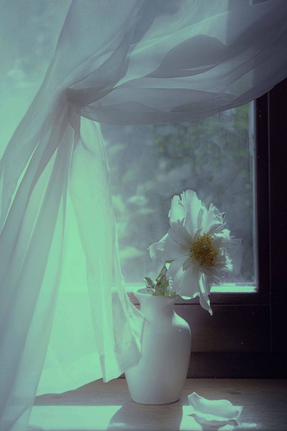 , Татьяна Назмутдинова