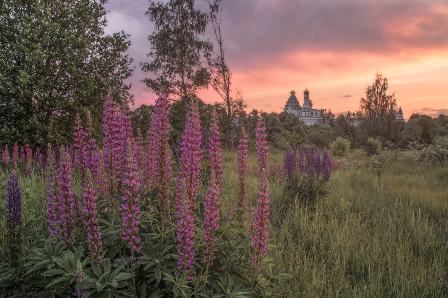 истра, Елена Гусева