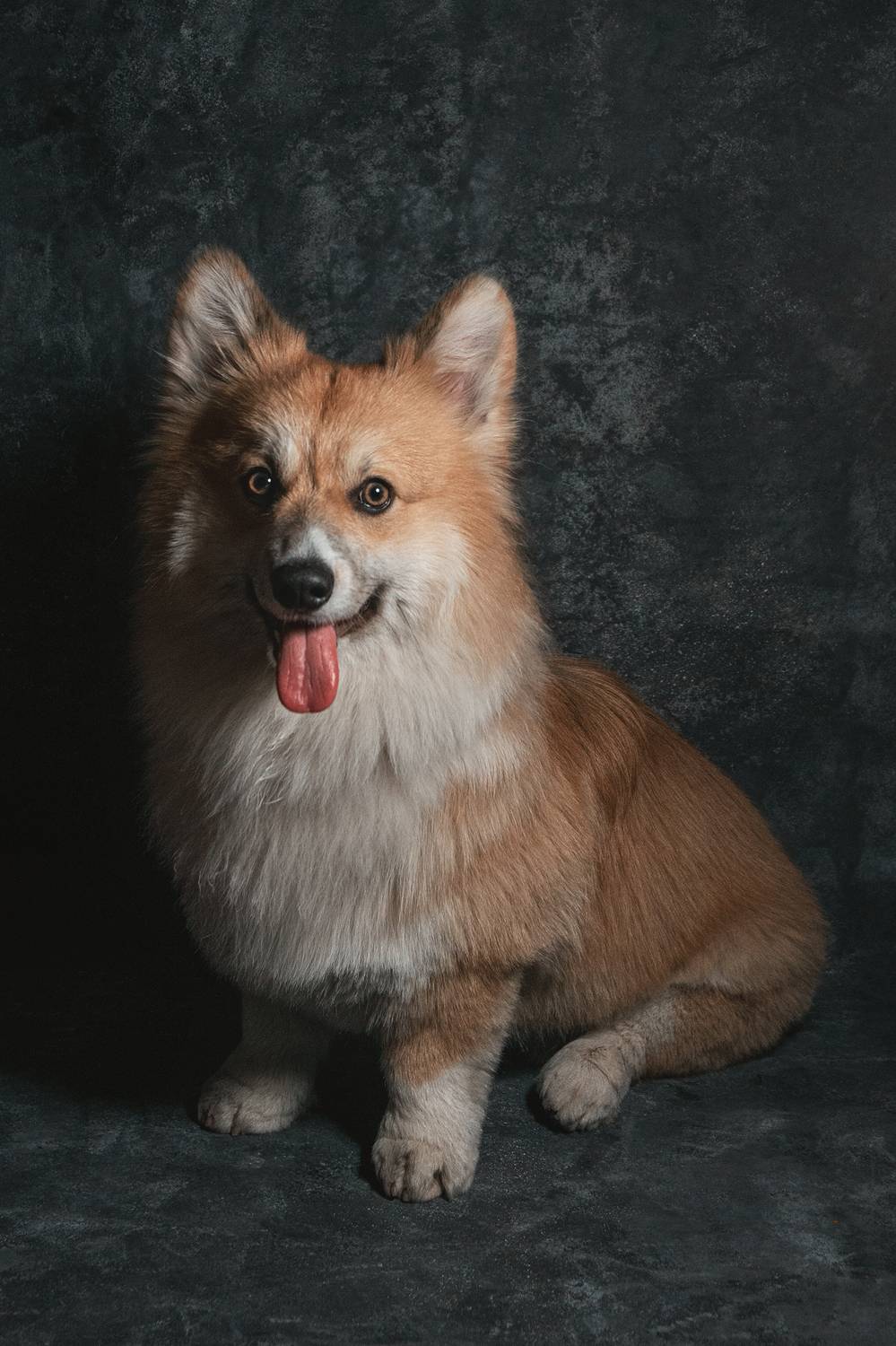 , Городничев Валерий