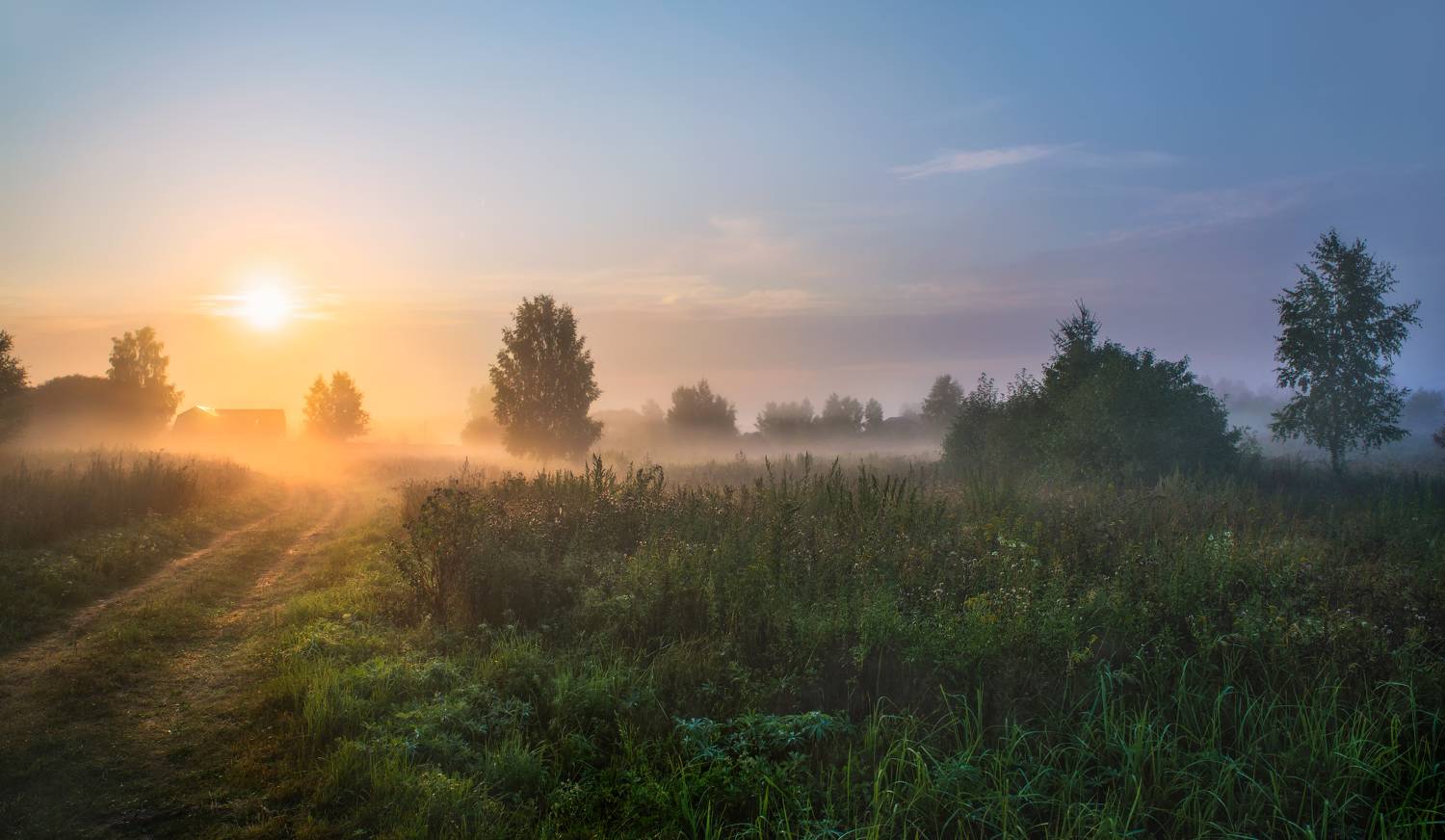 утро,рассвет,туман,солнце,деревня,дорога, Виталий Полуэктов