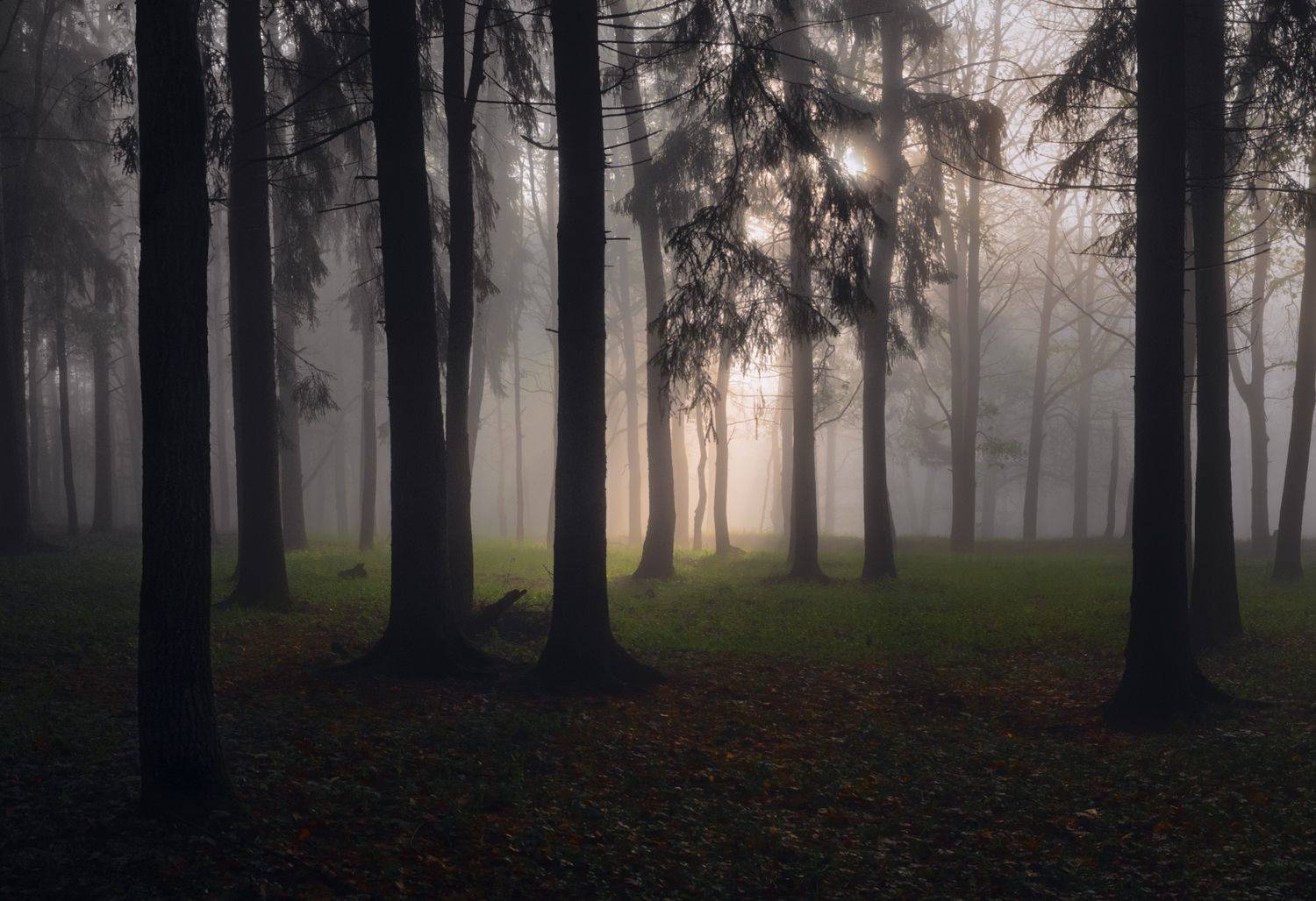 , Баранов Олег