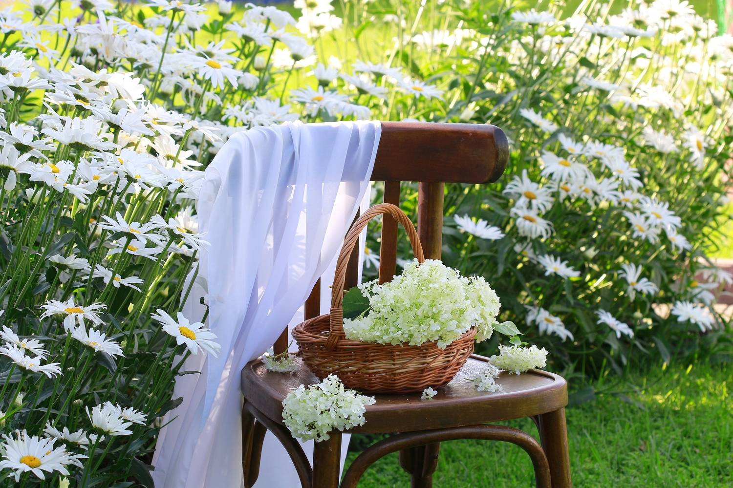 натюрморт, фотонатюрморт, дето, дача, ромашки, гортензия, цветы, старый стул, still life, stillifefoto, художественное фото, фотохудожник, наталья казанцева, Наталья Казанцева