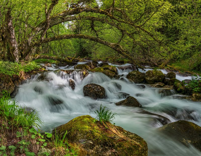 Река Джамагат фото превью
