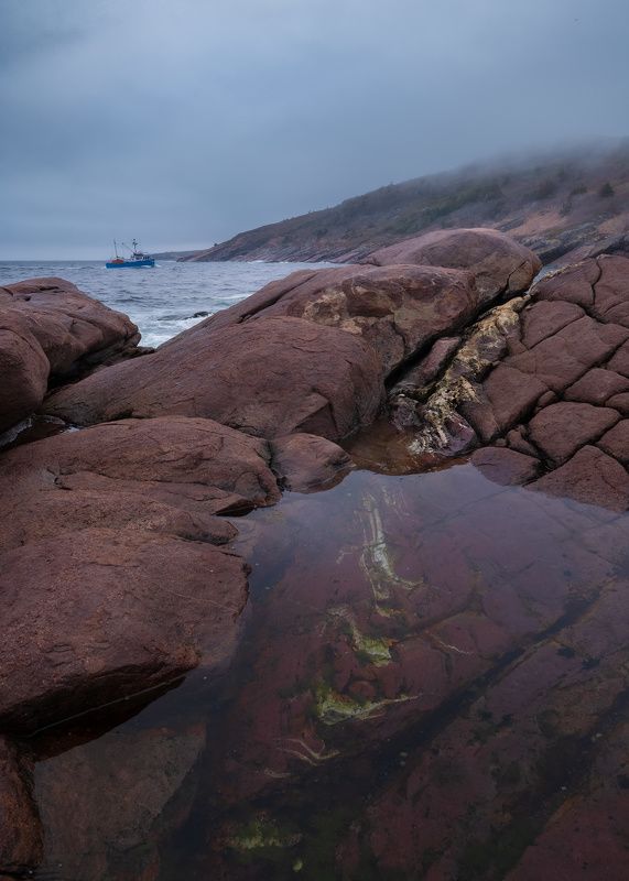 Дома фото превью