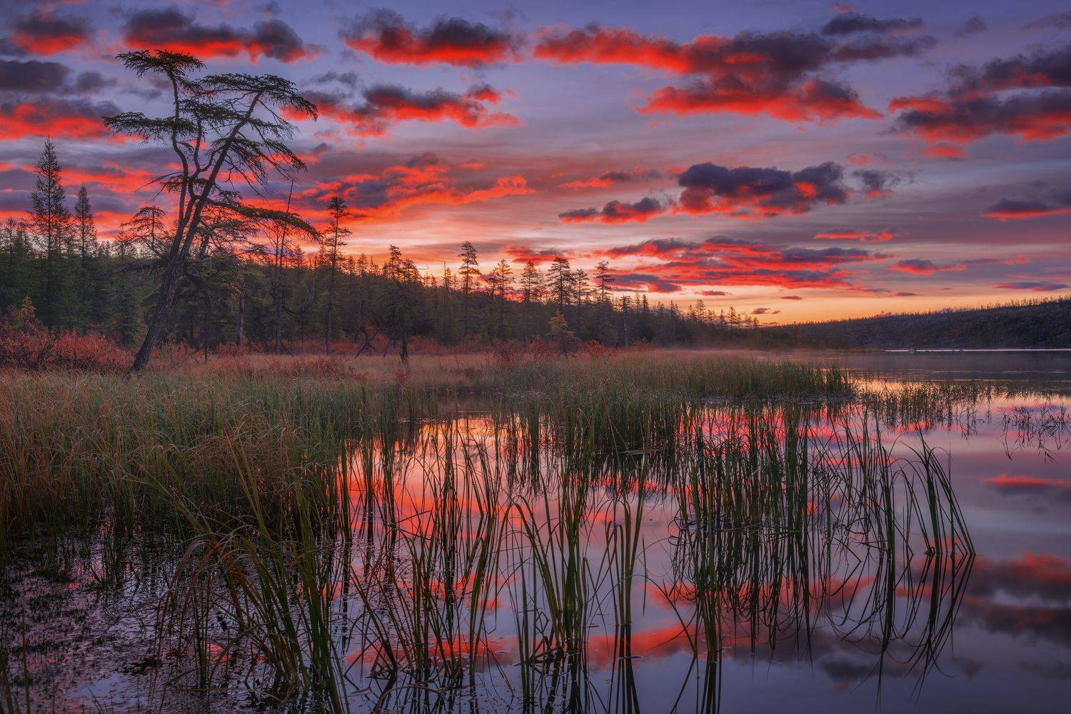 , Максим Евдокимов