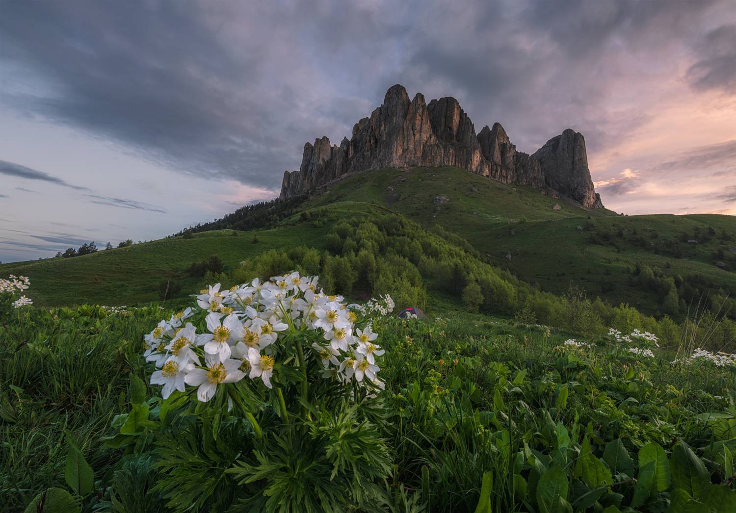 западный кавказ, природный парк большой тхач, Мысливцев Николай