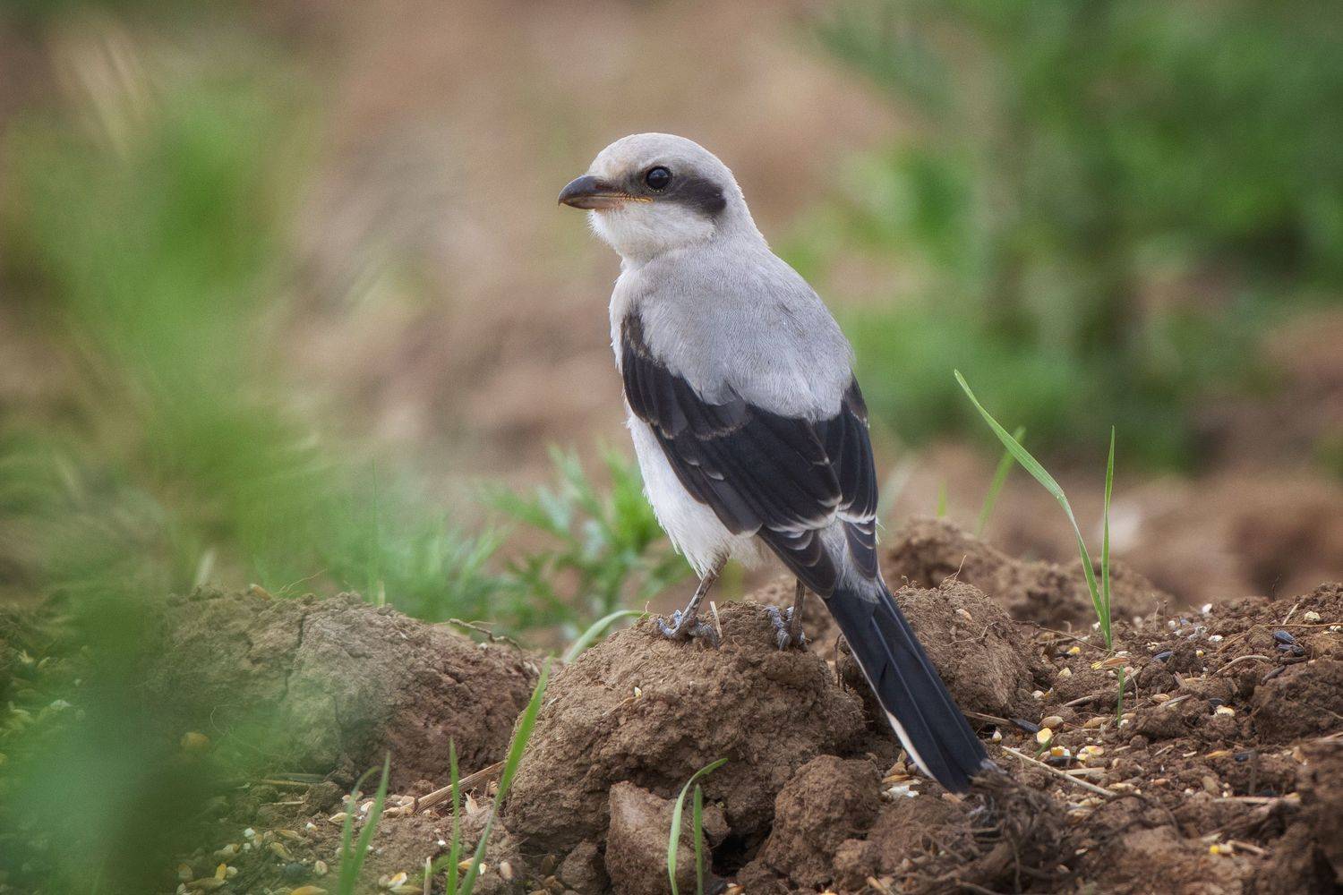 , Кулаков Юрий