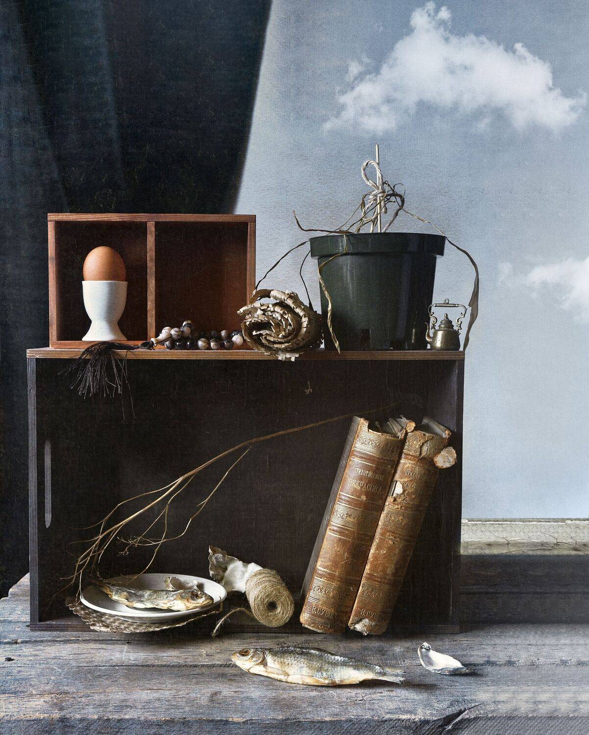 , Albina Bougartchev